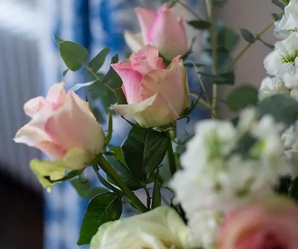 Chateau Le Petit Verdus * Sadirac